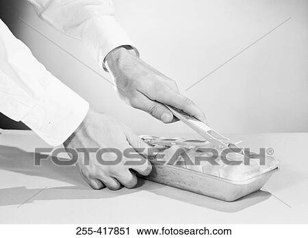 Man taking ice cubes from ice cube tray View Large Photo Image Stock Image - Man taking ice cubes from ice cube tray. Fotosearch