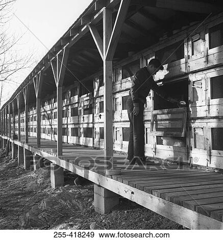 Stock Photo - Man working on animal farm. Fotosearch