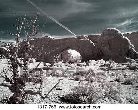 Natural arch in a desert, The Windows, Arches National Park, Utah, USA View Large Photo Image Stock Photograph - Natural arch in a desert, The Windows, Arches National Park, Utah, USA. Fotosearch