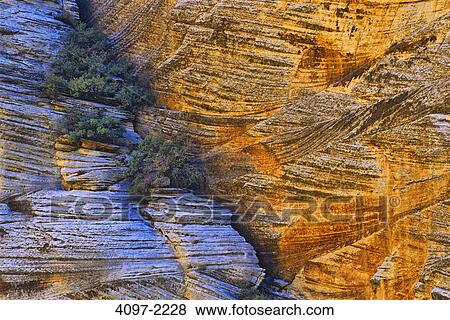 Stock Photo - Natural patterns on rocks in a canyon, Zion National Park, Utah, USA. Fotosearch
