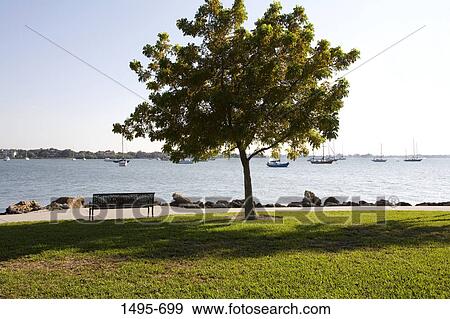 Stock Photo - Park at the waterfront, Sarasota Bayfront Park, Sarasota Bay, Sarasota, Sarasota County, Florida, USA. Fotosearch