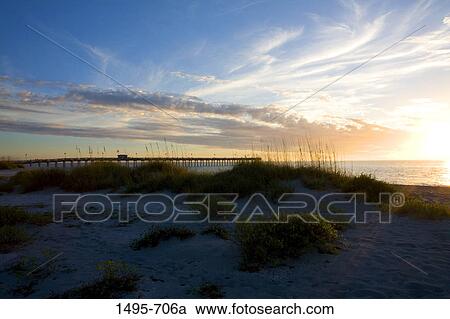 Pier on the beach at sunset, Venice Fishing Pier, Venice Beach, Venice, Gulf Of Mexico, Sarasota County, Florida, USA View Large Photo Image Stock Image - Pier on the beach at sunset, Venice Fishing Pier, Venice Beach, Venice, Gulf Of Mexico, Sarasota County, Florida, USA. Fotosearch