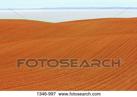 Plowed field View Large Photo Image Stock Photo - Plowed field. Fotosearch
