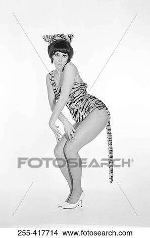 Portrait of pin-up girl dressed-up as tiger View Large Photo Image Picture - Portrait of pin-up girl dressed-up as tiger. Fotosearch