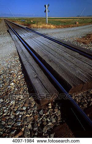 Railroad track passing through a landscape, Alberta, Canada View Large Photo Image Picture - Railroad track passing through a landscape, Alberta, Canada. Fotosearch