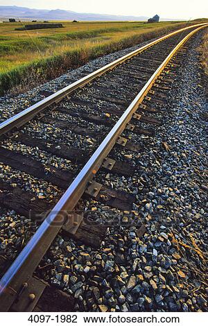 Railroad track passing through a landscape, Alberta, Canada View Large Photo Image Stock Image - Railroad track passing through a landscape, Alberta, Canada. Fotosearch