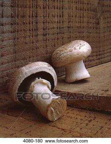 Raw mushrooms on rough wood View Large Photo Image Stock Image - Raw mushrooms on rough wood. Fotosearch