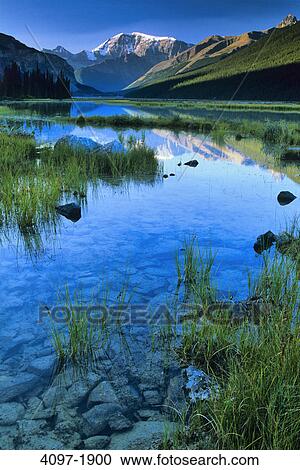 Reflection of a mountain in water, HI Beauty Creek, Mt Andromeda, Jasper National Park, Alberta, Canada View Large Photo Image Stock Image - Reflection of a mountain in water, HI Beauty Creek, Mt Andromeda, Jasper National Park, Alberta, Canada. Fotosearch