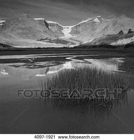 Reflection of a mountain in water, Jasper National Park, Alberta, Canada View Large Photo Image Stock Image - Reflection of a mountain in water, Jasper National Park, Alberta, Canada. Fotosearch