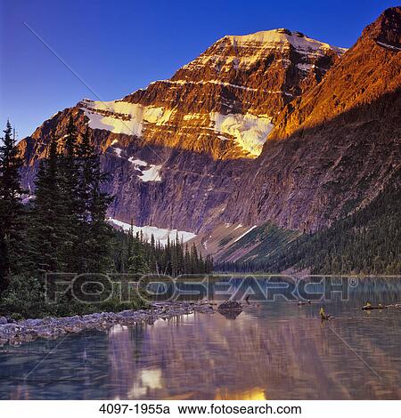 Reflection of a mountain in water, Cavell Lake, Mt Edith Cavell, Jasper National Park, Alberta, Canada View Large Photo Image Stock Image - Reflection of a mountain in water, Cavell Lake, Mt Edith Cavell, Jasper National Park, Alberta, Canada. Fotosearch