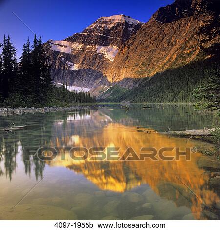 Reflection of a mountain in water, Cavell Lake, Mt Edith Cavell, Jasper National Park, Alberta, Canada View Large Photo Image Stock Image - Reflection of a mountain in water, Cavell Lake, Mt Edith Cavell, Jasper National Park, Alberta, Canada. Fotosearch