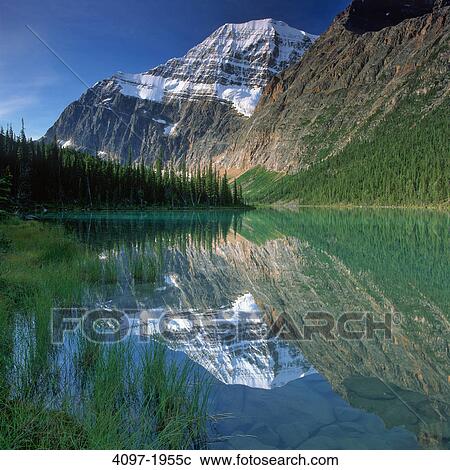 Reflection of a mountain in water, Cavell Lake, Mt Edith Cavell, Jasper National Park, Alberta, Canada View Large Photo Image Stock Image - Reflection of a mountain in water, Cavell Lake, Mt Edith Cavell, Jasper National Park, Alberta, Canada. Fotosearch
