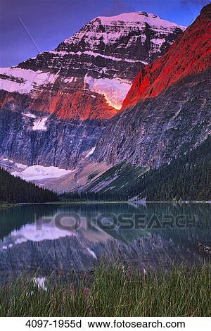Stock Image - Reflection of a mountain in water, Cavell Lake, Mt Edith Cavell, Angel Glacier, Jasper National Park, Alberta, Canada. Fotosearch