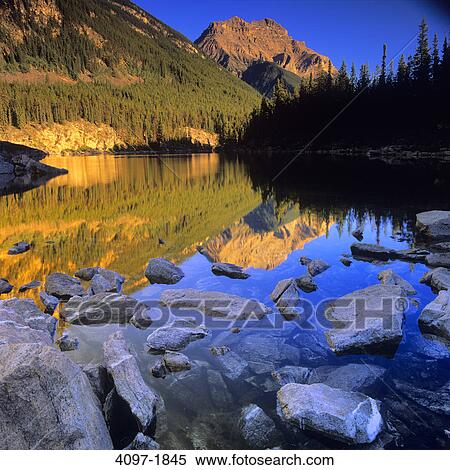 Reflection of a mountain in water, Horseshoe Lake, Mt Kerkeslin, Jasper National Park, Alberta, Canada View Large Photo Image Stock Photography - Reflection of a mountain in water, Horseshoe Lake, Mt Kerkeslin, Jasper National Park, Alberta, Canada. Fotosearch