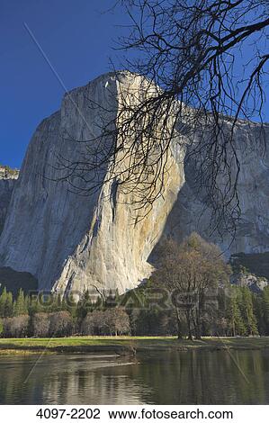 Stock Image - Reflection of trees in a river, Merced River, El Capitan, Yosemite National Park, California, USA. Fotosearch