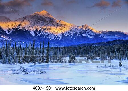 Stock Image - River flowing through a forest with mountain in the background, Athabasca River, Pyramid Mountain, Jasper National Park, Alberta, Canada. Fotosearch