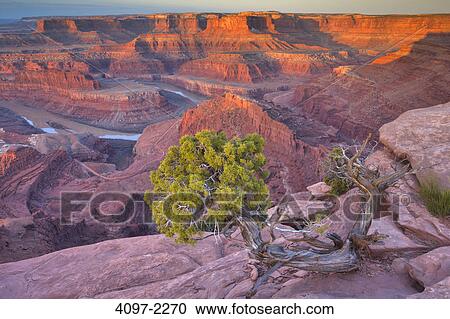 River passing through a canyon, Colorado River, Dead Horse Point State Park, Utah, USA View Large Photo Image Stock Image - River passing through a canyon, Colorado River, Dead Horse Point State Park, Utah, USA. Fotosearch
