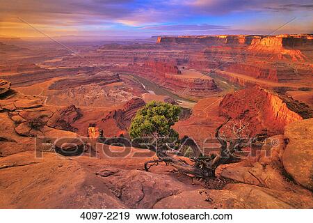 Stock Photo - River passing through a canyon, Colorado River, Dead Horse Point State Park, Utah, USA. Fotosearch