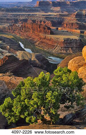 River passing through a canyon, Colorado River, Dead Horse Point State Park, Utah, USA View Large Photo Image Stock Photograph - River passing through a canyon, Colorado River, Dead Horse Point State Park, Utah, USA. Fotosearch