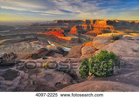Stock Photography - River passing through a canyon, Colorado River, Dead Horse Point State Park, Utah, USA. Fotosearch