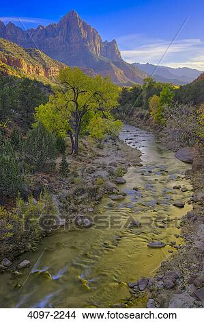 Picture - River passing through a canyon with mountains in the background, The Watchtower, Virgin River, Zion National Park, Utah, USA. Fotosearch