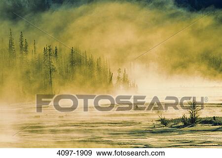River passing through a forest at sunrise, Athabasca River, Jasper National Park, Alberta, Canada View Large Photo Image Stock Photo - River passing through a forest at sunrise, Athabasca River, Jasper National Park, Alberta, Canada. Fotosearch
