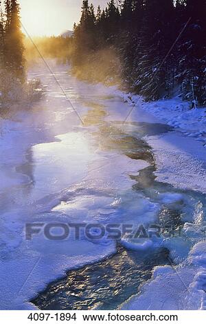 River passing through a forest, Maligne River, Maligne Valley, Jasper National Park, Alberta, Canada View Large Photo Image Picture - River passing through a forest, Maligne River, Maligne Valley, Jasper National Park, Alberta, Canada. Fotosearch