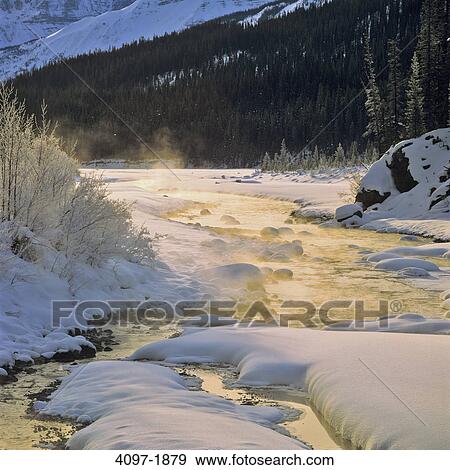 Stock Photo - River passing through a forest, North Saskatchewan River, Banff National Park, Alberta, Canada. Fotosearch