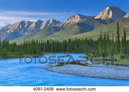 Stock Photo - River passing through a forest, Kootenay River, Kootenay National Park, Canadian Rockies, British Columbia, Canada. Fotosearch