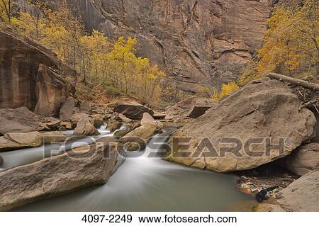 River passing through a forest, Virgin River, Zion National Park, Washington County, Utah, USA View Large Photo Image Stock Photo - River passing through a forest, Virgin River, Zion National Park, Washington County, Utah, USA. Fotosearch