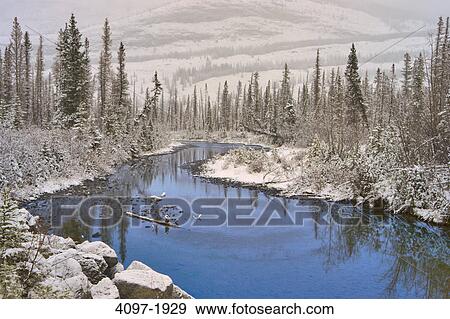 River passing through a forest with mountains in the background, Canadian Rockies, Jasper National Park, Alberta, Canada View Large Photo Image Stock Photo - River passing through a forest with mountains in the background, Canadian Rockies, Jasper National Park, Alberta, Canada. Fotosearch