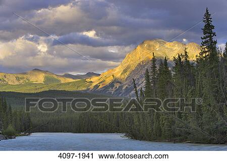 Stock Image - River with a mountain in the background, Whirlpool River, Mt Kerkeslin, Canadian Rockies, Jasper National Park, Alberta, Canada. Fotosearch