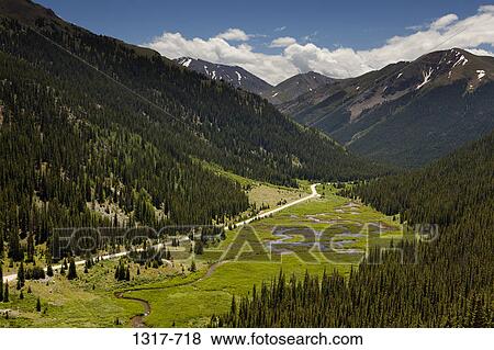 Road passing through a forest, Independence Pass, Colorado, USA View Large Photo Image Stock Photo - Road passing through a forest, Independence Pass, Colorado, USA. Fotosearch