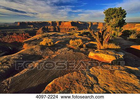 Rock formations in a canyon, Colorado River, Dead Horse Point State Park, Utah, USA View Large Photo Image Picture - Rock formations in a canyon, Colorado River, Dead Horse Point State Park, Utah, USA. Fotosearch