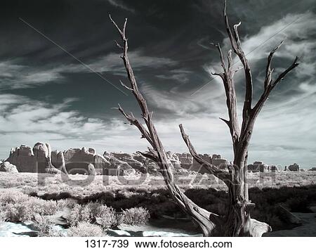 Rock formations in a desert, Arches National Park, Utah, USA View Large Photo Image Stock Photo - Rock formations in a desert, Arches National Park, Utah, USA. Fotosearch