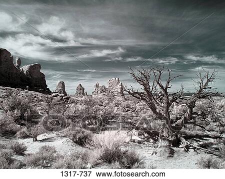 Stock Photo - Rock formations in a desert, Three Gossips, Courthouse Towers, Arches National Park, Utah, USA. Fotosearch
