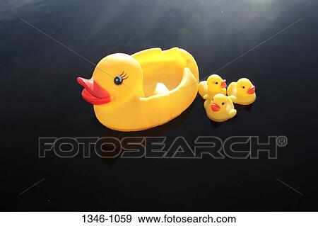 Rubber ducks floating on water View Large Photo Image Stock Photo - Rubber ducks floating on water. Fotosearch