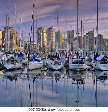 Sailboats at a marina with city skyline in the background, False Creek, Coal Harbor, Vancouver, British Columbia, Canada View Large Photo Image Stock Image - Sailboats at a marina with city skyline in the background, False Creek, Coal Harbor, Vancouver, British Columbia, Canada. Fotosearch