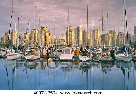 Sailboats at a marina with city skyline in the background, False Creek, Coal Harbor, Vancouver, British Columbia, Canada View Large Photo Image Stock Image - Sailboats at a marina with city skyline in the background, False Creek, Coal Harbor, Vancouver, British Columbia, Canada. Fotosearch