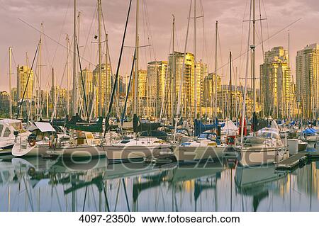 Sailboats at a marina with city skyline in the background, False Creek, Coal Harbor, Vancouver, British Columbia, Canada View Large Photo Image Stock Image - Sailboats at a marina with city skyline in the background, False Creek, Coal Harbor, Vancouver, British Columbia, Canada. Fotosearch
