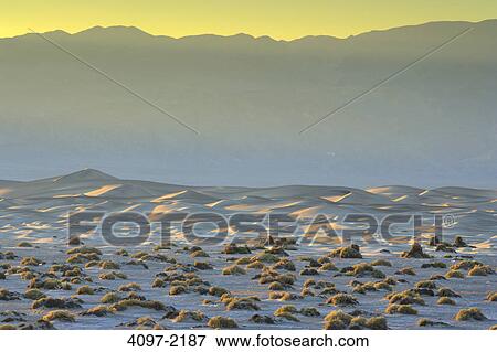 Stock Photo - Sand dunes in a desert with a mountain range in the background, Mesquite Flat Sand Dunes, Amargosa Range, Death Valley, Death Valley National Park, California, USA. Fotosearch