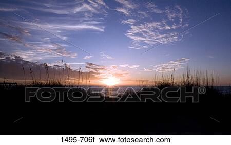 Sea at sunset, Venice Beach, Venice, Gulf Of Mexico, Sarasota County, Florida, USA View Large Photo Image Stock Image - Sea at sunset, Venice Beach, Venice, Gulf Of Mexico, Sarasota County, Florida, USA. Fotosearch