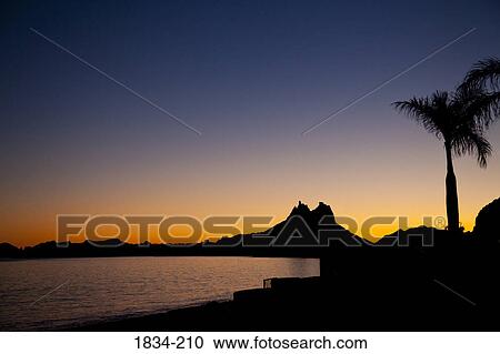 Silhouette of a mountain peak and palm tree at sunset, San Carlos, Sea of Cortez, Guaymas, Sonora, Mexico View Large Photo Image Stock Image - Silhouette of a mountain peak and palm tree at sunset, San Carlos, Sea of Cortez, Guaymas, Sonora, Mexico. Fotosearch