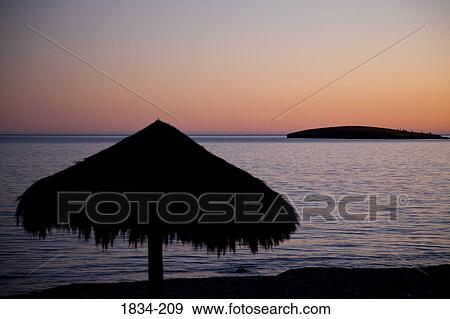 Silhouette of sunshade on the beach at sunset, San Carlos, Sea of Cortez, Guaymas, Sonora, Mexico View Large Photo Image Stock Photo - Silhouette of sunshade on the beach at sunset, San Carlos, Sea of Cortez, Guaymas, Sonora, Mexico. Fotosearch