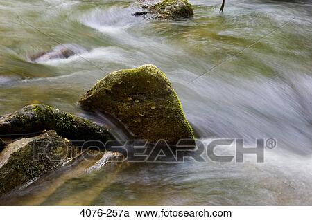 Stream flowing through rocks, North Carolina, USA View Large Photo Image Stock Image - Stream flowing through rocks, North Carolina, USA. Fotosearch
