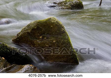 Stream flowing through rocks, North Carolina, USA View Large Photo Image Stock Image - Stream flowing through rocks, North Carolina, USA. Fotosearch