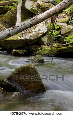Stream flowing through rocks, North Carolina, USA View Large Photo Image Stock Image - Stream flowing through rocks, North Carolina, USA. Fotosearch