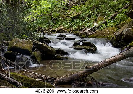 Stream flowing through rocks, North Carolina, USA View Large Photo Image Stock Photograph - Stream flowing through rocks, North Carolina, USA. Fotosearch