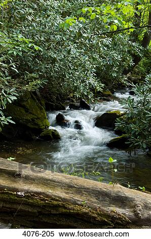 Stream flowing through rocks, North Carolina, USA View Large Photo Image Stock Photography - Stream flowing through rocks, North Carolina, USA. Fotosearch