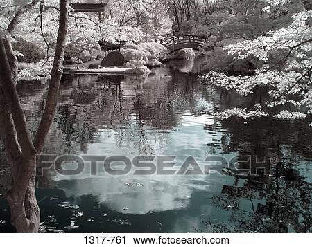 Stream in a Japanese garden, USA View Large Photo Image Stock Image - Stream in a Japanese garden, USA. Fotosearch
